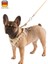 Yavru Köpek Tasması Puppy Harness 24 - 44 cm 1