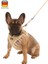 Yavru Köpek Tasması Puppy Harness 24 - 44 cm 3