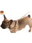 Yavru Köpek Tasması Puppy Harness 24 - 44 cm 4