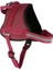 Köpek Belden Tasma Maestro 2.0 Bordo 72 - 103 cm 4