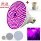 Seçili Renk RGB