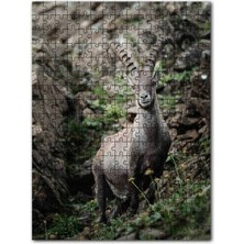 Cakapuzzle Görkemli Boynuzlarıyla Dağ Keçisi 120 Parça Puzzle Yapboz Mdf (Ahşap)