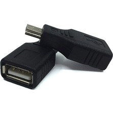 5 Pin Mini USB Erkek USB Dişi Aparat Oto Teyp Flash Bellek Mini USB Otg Dönüştürücü