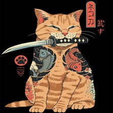Ena Butik Canvas Savaşcı Kedi Sayılarla Boyama Seti Kasnaklı 100 x 140 cm