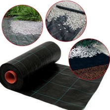 Sera Trend 2 x 10 M Sulzer Kumaş Sera Taban Örtüsü Jüt Blueberry Peyzaj Uygulama Örtüsü Mulch Naylonu Çilek Malç