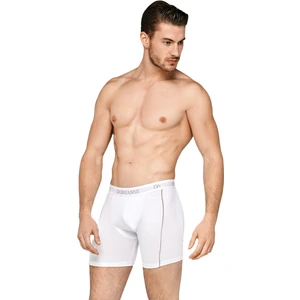 Erkek Modal Çizgili Normal Paça Boxer 1780 | Beyaz