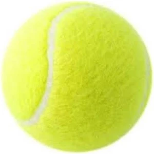 Deniz Sport 1 Adet Sarı Tenis Topu