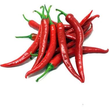 Agrodal Tarım Doğal Acı Şili Biberi Acı Biber Hot Chılean Pepper 100 Adet