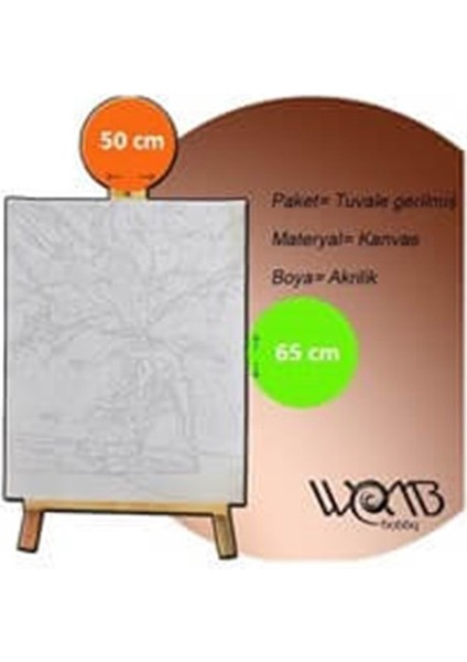 Bahar Çiçekleri Sayılarla Boyama Seti 50X65 cm Tuvale Gerili