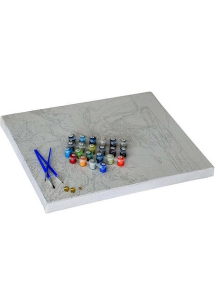 Bahar Çiçekleri Sayılarla Boyama Seti 50X65 cm Tuvale Gerili