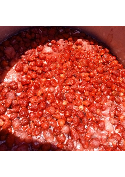 Geleneksel Yayla Çilek Reçeli 3 x 800 gr fiyatları