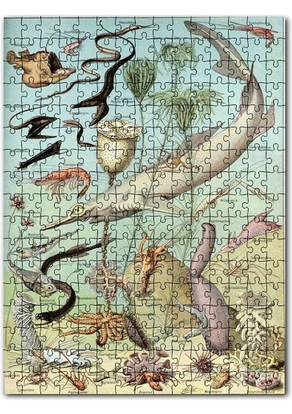 Derin Deniz Canlıları Zoolojik Şema 120 Parça Puzzle Yapboz Mdf (Ahşap)