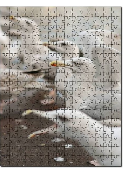 Deniz Kuşları Yaban Hayatı Martılar Görseli 120 Parça Puzzle Yapboz Mdf (Ahşap)