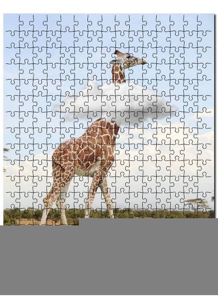 Afrika Zurafa Bulutlar Görseli 500 Parça Puzzle Yapboz Mdf (Ahşap)