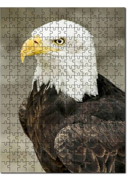 Yırtıcı Kara Kartal Hayvan Doğa 255 Parça Puzzle Yapboz Mdf (Ahşap)