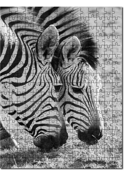 Siyah Beyaz Zebra Görseli 120 Parça Puzzle Yapboz Mdf (Ahşap)