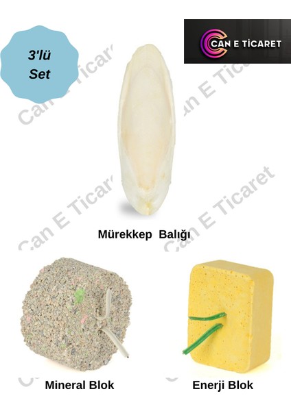 Quik Enerji Blok-Mineral Blok-Mürekkep Balığı (Kalamar) Kemiği 7-8cm ve Tutacak