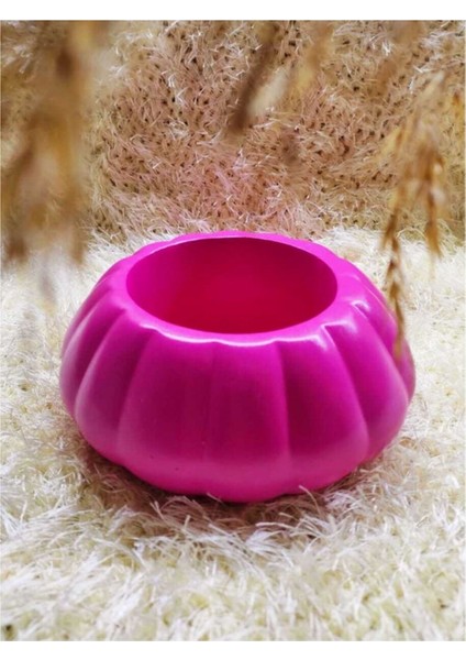 Pembe Kabak Saksı Kaktüs ve Sukulent Saksısı Menekşe Saksısı Büyük Boy
