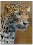 Leopar Görseli 120 Parça Puzzle Yapboz Mdf (Ahşap) 1