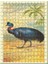 Cassowary ve Kuş Görseli 120 Parça Puzzle Yapboz Mdf (Ahşap) 1