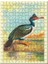 Throated Kuş Görseli 120 Parça Puzzle Yapboz Mdf (Ahşap) 1