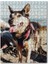 Sevimli Kurt Köpeği 120 Parça Puzzle Yapboz Mdf (Ahşap) 1