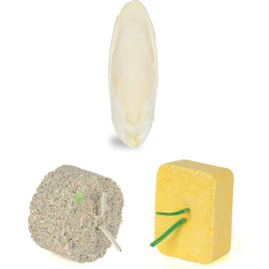Quik Enerji Blok-Mineral Blok-Mürekkep Balığı (Kalamar) Kemiği 7-8cm ve Tutacak