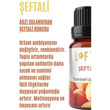 Lofty Şeftali Uçucu Yağ Buhurdanlık Esansı Oda Kokusu 10 ml