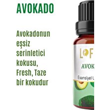 Lofty Avokado Uçucu Yağ Buhurdanlık Esansı Oda Kokusu 10 ml