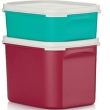Tupperware Kompakt Saklama Kabı 2'li 850 ml 1.9 lt Çok Amaçlı Set