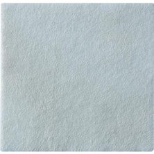 Coloplast Biatain 3715 Alginate 15 x 15 10'lu