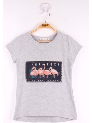 Toontoy Kız Çocuk Flamingo Baskılı Tişört