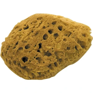 Doğal Deniz Süngeri