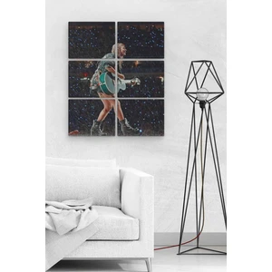 Taylor Swift 6 Parça Ahşap Mdf Tablo NHL3372