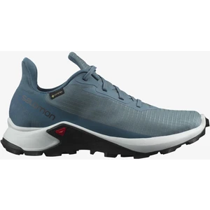 Alphacross 3 Gtx W Mavi Kadın Spor Ayakkabı L41447500-25369