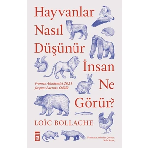 Hayvanlar Nasıl Düşünür Insanlar Ne Görür? - Loic Bollache