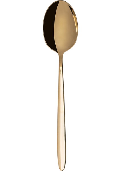 9400 5 Parça Titanyum Gold Servis Takımı fiyatları