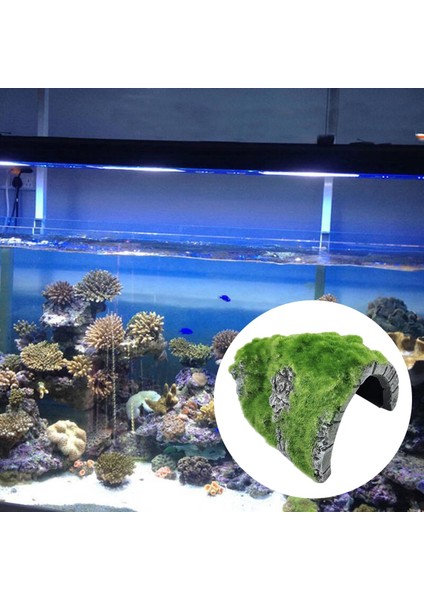 Pet Sürüngen Balık Tankı Dekor Reçine Malzeme Pet Malzemeleri (Yurt Dışından) modelleri