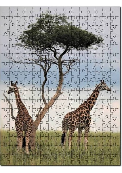 Afrikada Çift Zürafa Görseli 120 Parça Puzzle Yapboz Mdf (Ahşap)