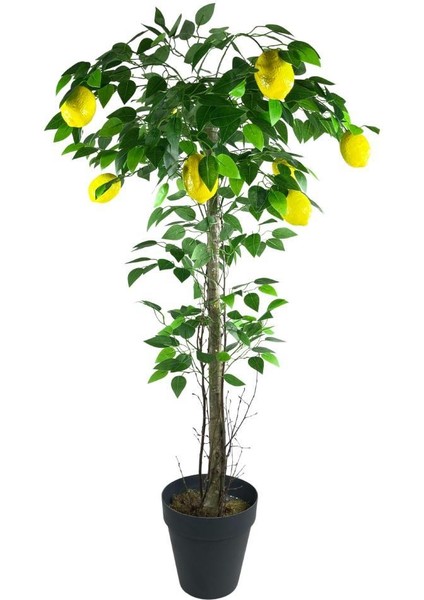 Yapay Limon Ağacı 130CM 8 Limonlu Doğal Görünümlü Siyah Plastik Saksılı Yapay Ağaç fiyatları