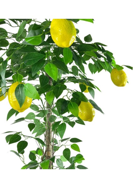 Yapay Limon Ağacı 130CM 8 Limonlu Doğal Görünümlü Siyah Plastik Saksılı Yapay Ağaç modelleri