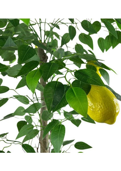 Yapay Limon Ağacı 130CM 8 Limonlu Doğal Görünümlü Siyah Plastik Saksılı Yapay Ağaç indirimleri