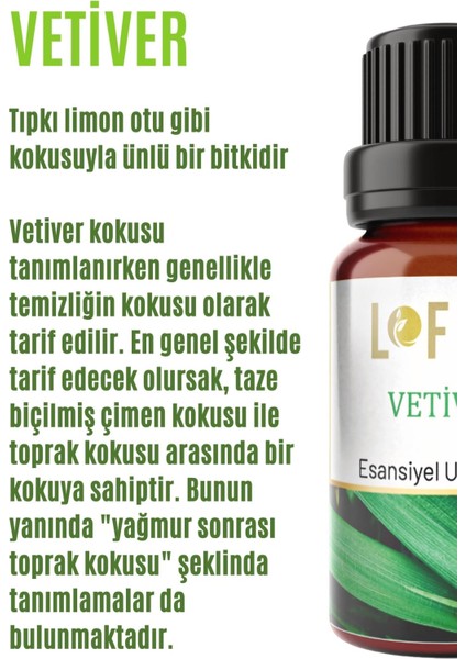 Vetiver Uçucu Yağ Buhurdanlık Esansı Oda Kokusu 10 ml