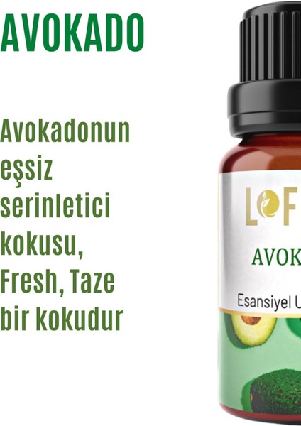 Avokado Uçucu Yağ Buhurdanlık Esansı Oda Kokusu 10 ml