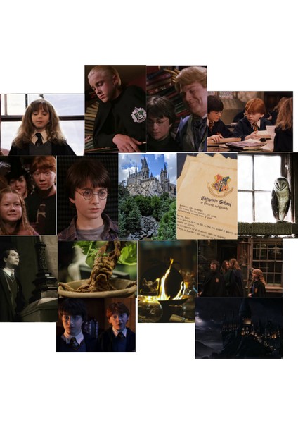 Harry Potter Hp Hogwarts Dobby Poster Duvar Kağıdı Seti