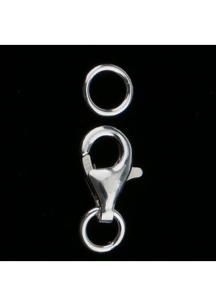 Prettyia 1 Adet Gümüş 925 Istakoz Pençeleri Toka Dıy Takı Bulma 8mm(Yurt Dışından) fırsatları