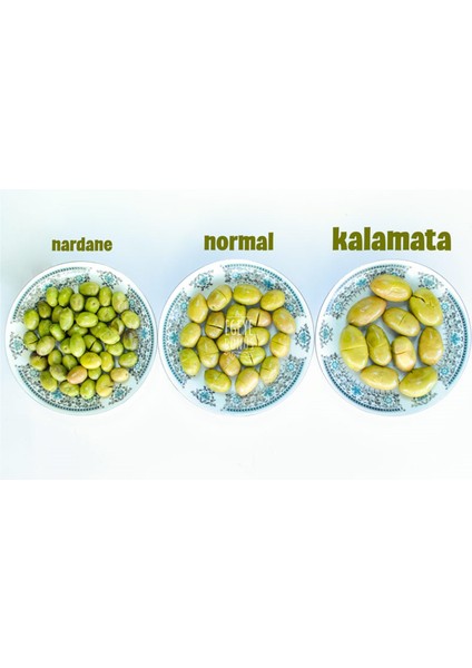 Ev Yapımı Geleneksel Yeşil Kırma Zeytin 1 kg (Naturel Salamura Sadece Tuz ve Su Içerir)