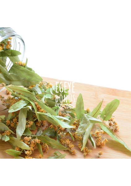 Ihlamur Çayı Yaprak Çiçek Form Bitki Çayı 50 gr