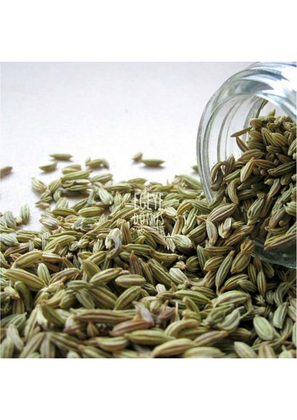 Rezene Çayı (Anne Bebek Bitki Çayı) 100 gr