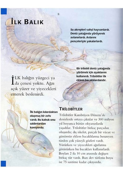 +7 Yaş İlk Bilim Kütüphanem 5’li Kitap Seti 2 fiyatları